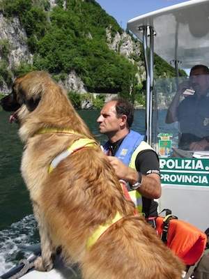 Spiagge del Lago di Como in sicurezza con le unit cinofile